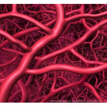 (Adenosina) -Dilatação de Vasos sanguíneos coronários CAS 58-61-7 Adenosina